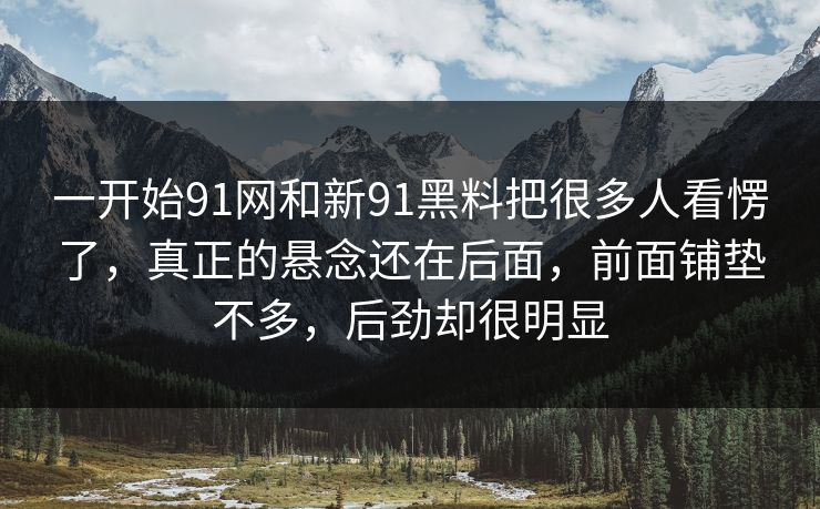 一开始91网和新91黑料把很多人看愣了，真正的悬念还在后面，前面铺垫不多，后劲却很明显  第1张