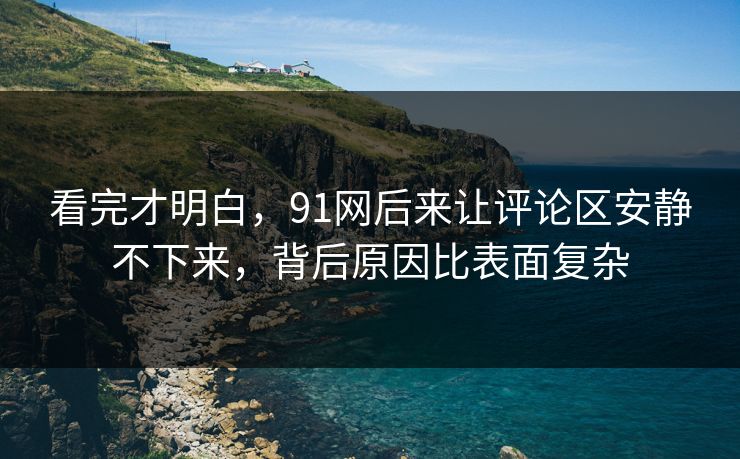 看完才明白，91网后来让评论区安静不下来，背后原因比表面复杂  第1张