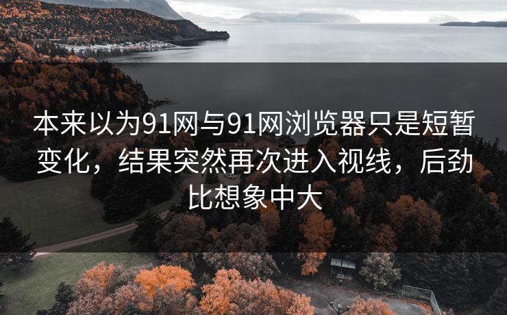 本来以为91网与91网浏览器只是短暂变化，结果突然再次进入视线，后劲比想象中大  第1张