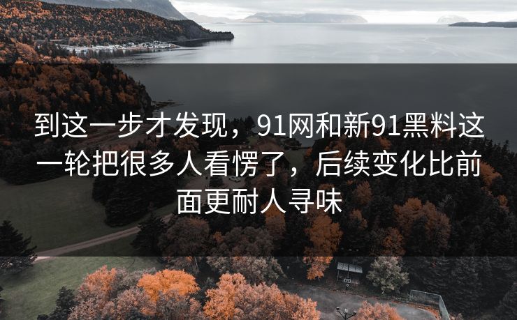 到这一步才发现，91网和新91黑料这一轮把很多人看愣了，后续变化比前面更耐人寻味  第1张