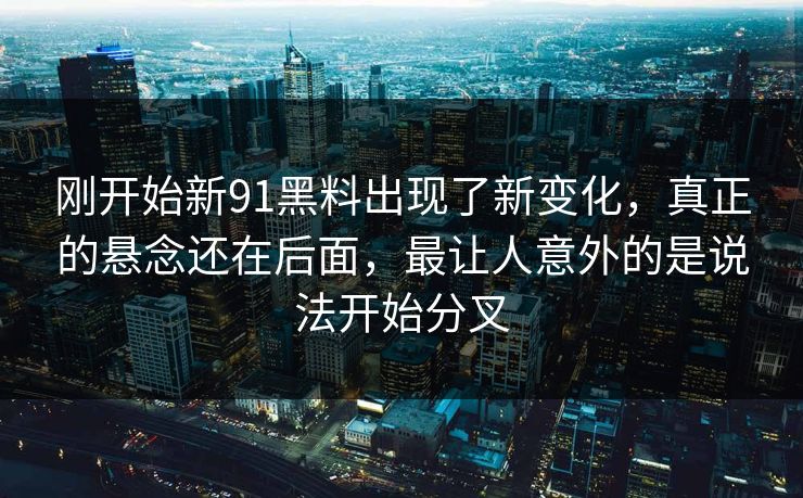 刚开始新91黑料出现了新变化，真正的悬念还在后面，最让人意外的是说法开始分叉  第1张